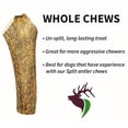 thumbnail image 4 of Elkhorn Premium Chews Monster whole (10-12” long) elk antler chew for 90+ lb dogs (1 pack) all-natural premium-grade antler bone, sourced in the USA, 4 of 6