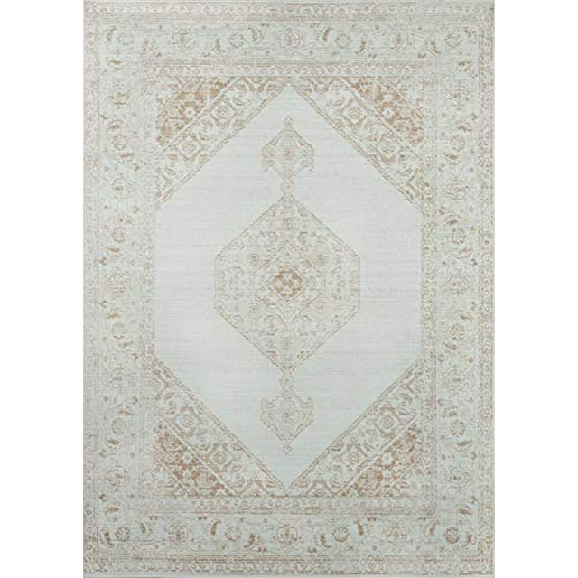 Momeni Tapis d'Intérieur Traditionnel en Polyester Isabella, Marron, 4 X 6