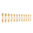 thumbnail image 2 of 24x Solid Small Round Head Coffin False Nails Removable Neat DIY Exquisite Personality for Manicure Lovers Type9, 2 of 6