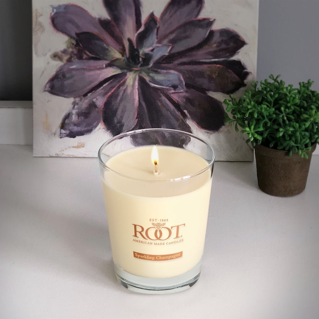 ROOT Candles Sugared Grapefruit 10.5 oz Large Veriglass Jar
