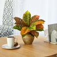 thumbnail image 3 of Nearly Natural Orange 15"H Garden Croton Artificial Plant in Ceramic Planter (Real Touch), 3 of 3