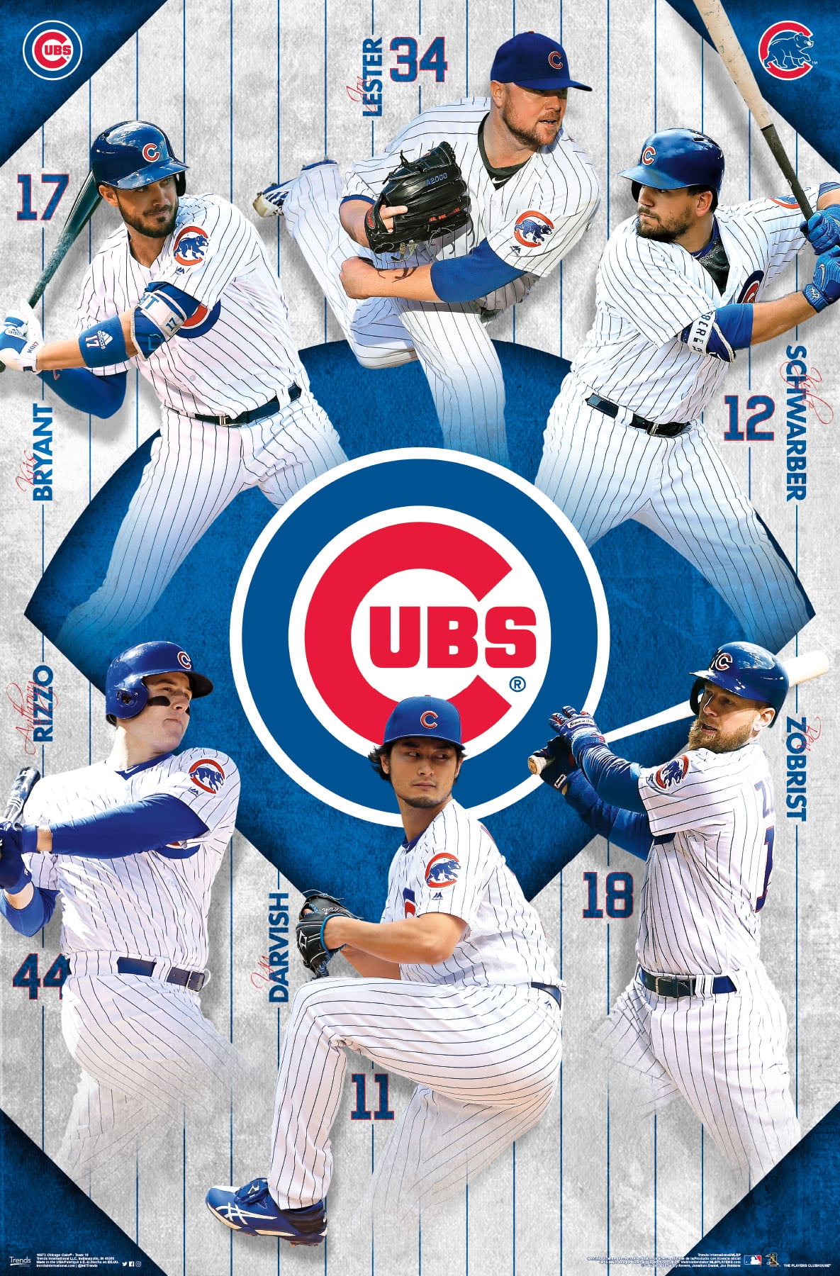Chicago Cubs® Team Poster and Poster Mount Bundle