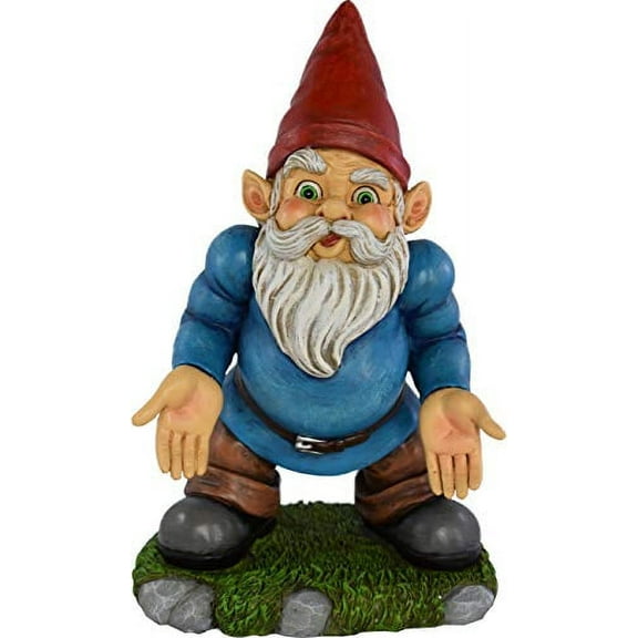 UpBlend Outdoors Funny Garden Gnome Statue - Norm The Lawn gnome has Some SERIOUS Questions - 9.75 inches Tall