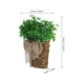 thumbnail image 2 of Faux Shamrock Hanging Basket for St Patrick's Day Decor Green Plastic Lightweight and 1, 2 of 8