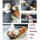 thumbnail image 4 of Squeaky Plush Dog Toy For Medium Large Dogs Puppy, 3 In 1(squeaky Stuffed Head, Rubber Body, And Crinkle Paper Tail) Durable Dog Chew Toys Pet Toys (s, 4 of 4