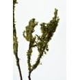 thumbnail image 5 of 25" Faux Moss Twig Branch Stem, 5 of 6