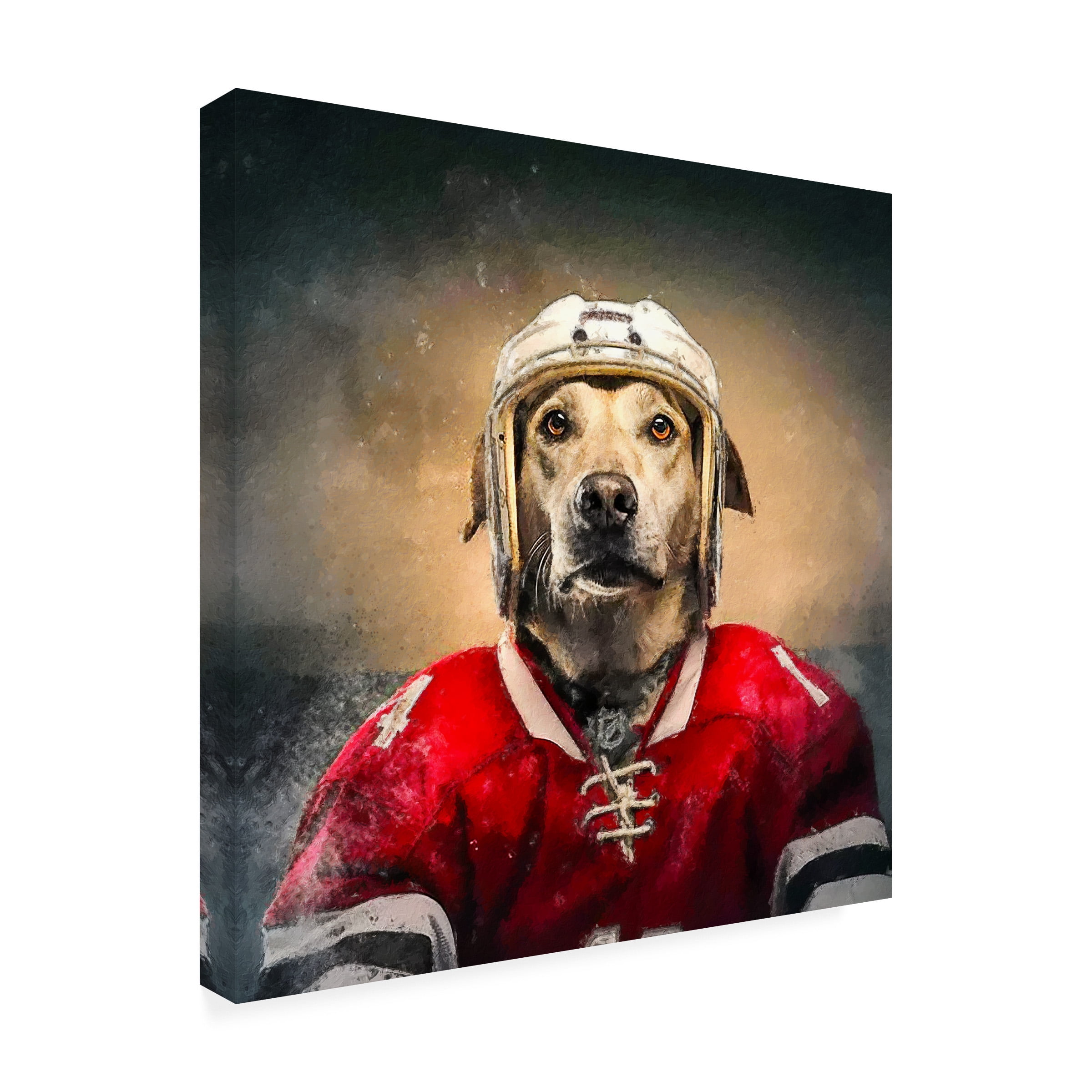 Canvas Wall Art - Sean Parnell 'Hockey 4' Wall Art for Living Room, Bedroom, or Office DÃ©cor by Trademark Fine Art - 35 x 35 Inches