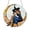 J, variant on PPKVUFD Halloween Witch Themed Ornaments, Acrylic Stained Glass Window Hanging Sun Catcher Decor, Charming Witch with Hat Gothic Halloween Wall Pendant Decor for Home Holiday Party