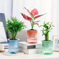 thumbnail image 3 of Self Watering Planter Pot, Transparent Double Layer Plastic Flower Pot for Office Desk and Indoor Plants, 3 of 7