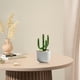 thumbnail image 5 of Flores artificiales, plantas artificiales, flores falsas, pequeños adornos esmaltados, cactus, plantas en maceta, oficina, vidrio, artesanías, regalos, hogar, interior, pequeños adornos esmaltados., 5 of 6