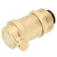 Air Release Valve G1 DN25 Male Thread Automatic Vent Valve for Air