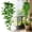 Green, variant on ZFSBZBS Fake Hanging Plants Vines for Room Decor,Artificial Ivy Greenery Garlands for Home Bedroom Living Aesthetic Kitchen Office Wall Patio Bookshelf,Indoor,Outdoor Farmhouse Decorations,Green