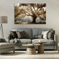 thumbnail image 3 of Stupell Industries Sun Streak Through Tree Landscape & Nature Photography Wrapped Canvas Art Print Wall Art, 45 x 30, 3 of 8