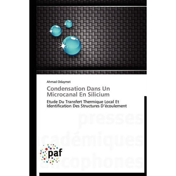 Omn.Pres.Franc.: Condensation Dans Un Microcanal En Silicium (Paperback)