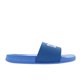 thumbnail image 1 of Sandalia Teo Color Azul   25 Dorothy Gaynor Sandalia Teo Color Azul   25, 1 of 6