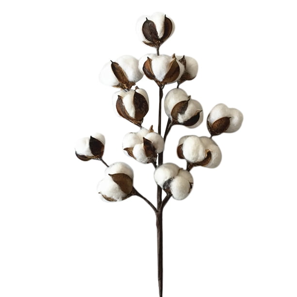 1 rama de 50 cm de tallos de algodón, ramas de algodón, flores secas artificiales, decoración para el hogar y la boda.
