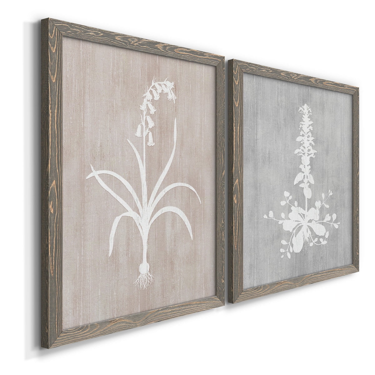 Botany Beauty I - Premium Framed Canvas 2 Piece Set - Ready to Hang