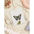 thumbnail image 3 of Butterfly Specimen I T-Shirt Women -Vision Studio Designs, Female Large, 3 of 4