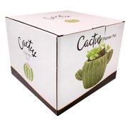Streamline Imagined Cactus Planter