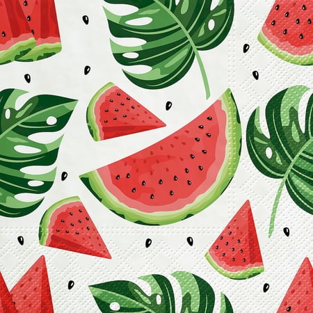 Set of 4 Luncheon Tasty Watermelons Napkins 20 Pack