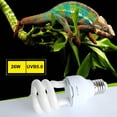 thumbnail image 1 of Bangcool Heat Bulb Creative 13W/26W 220V E27 Reptile Light Pet Heat Light, 1 of 9