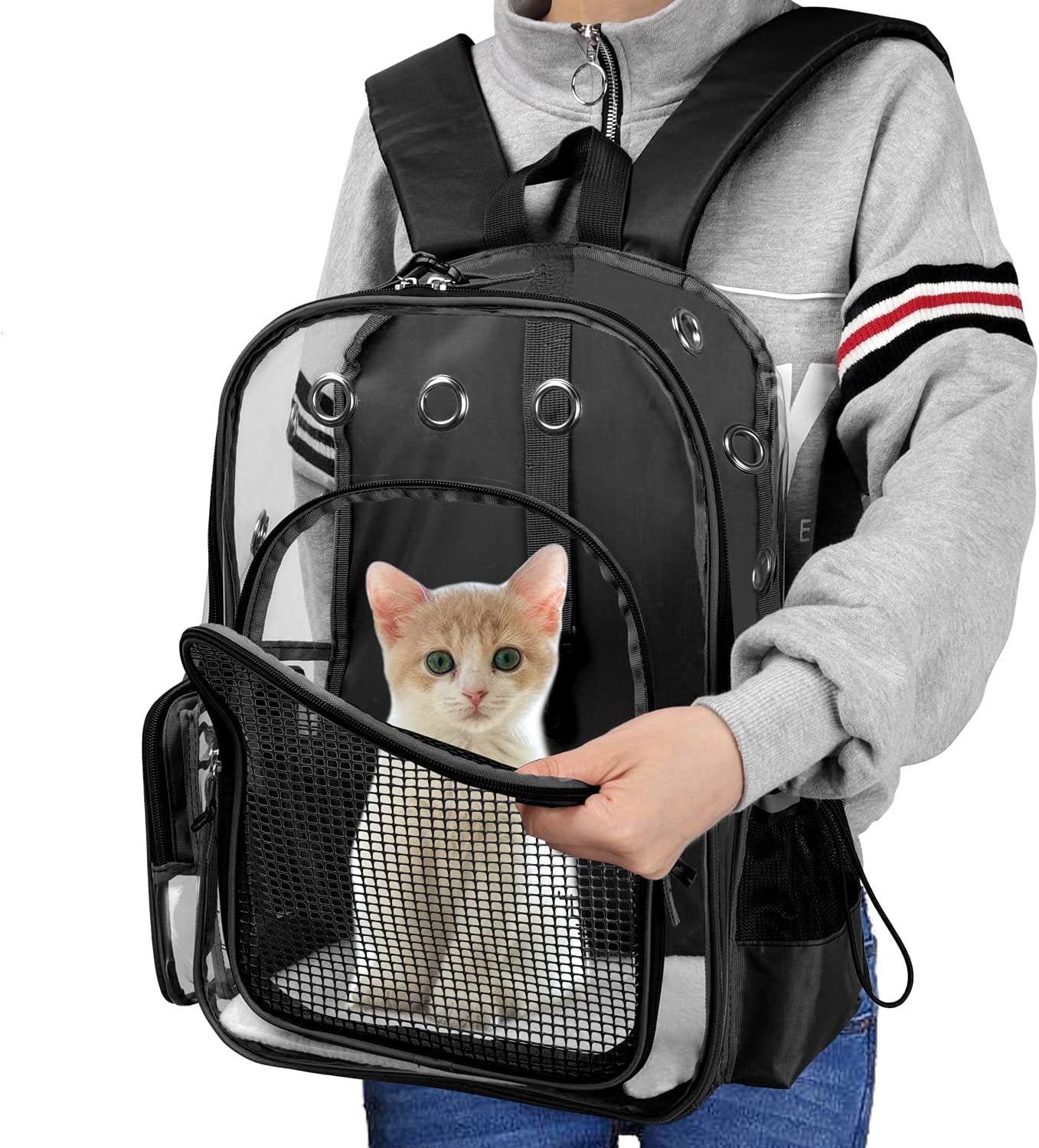 cat backpack