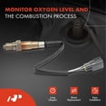 thumbnail image 2 of A-Premium O2 Oxygen Sensor Compatible with Toyota Camry 2018-2022, Tacoma 2017-2022, Avalon 2019-2022 & Lexus ES350 2019-2022, 2-PC Set, 2 of 6