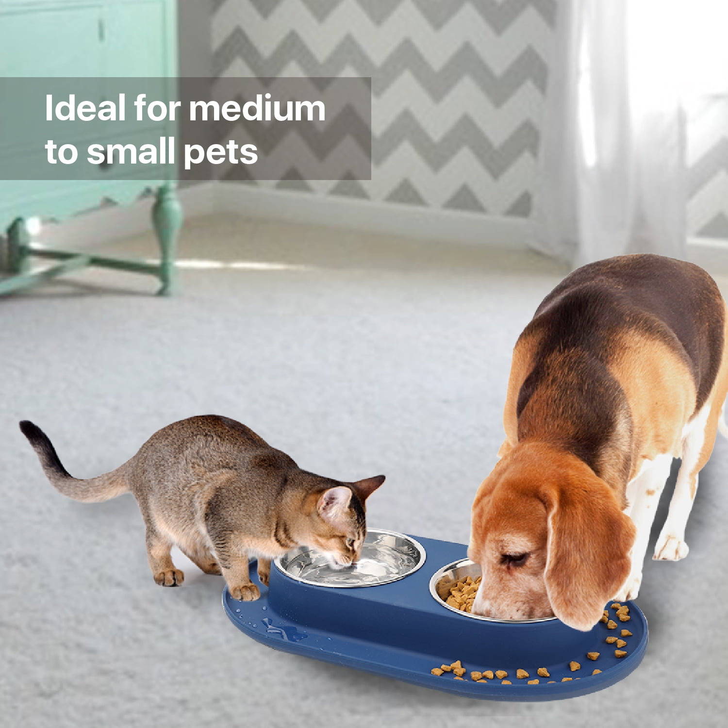 Chewy Dog Bowl Bowls， With Placemat Puppy Cat Feeder Non-slip