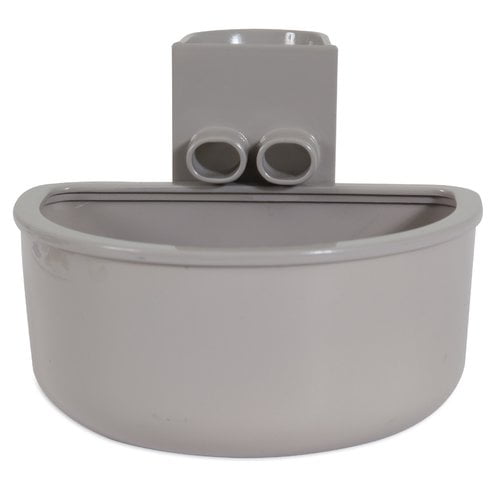 can dogs eat hot food