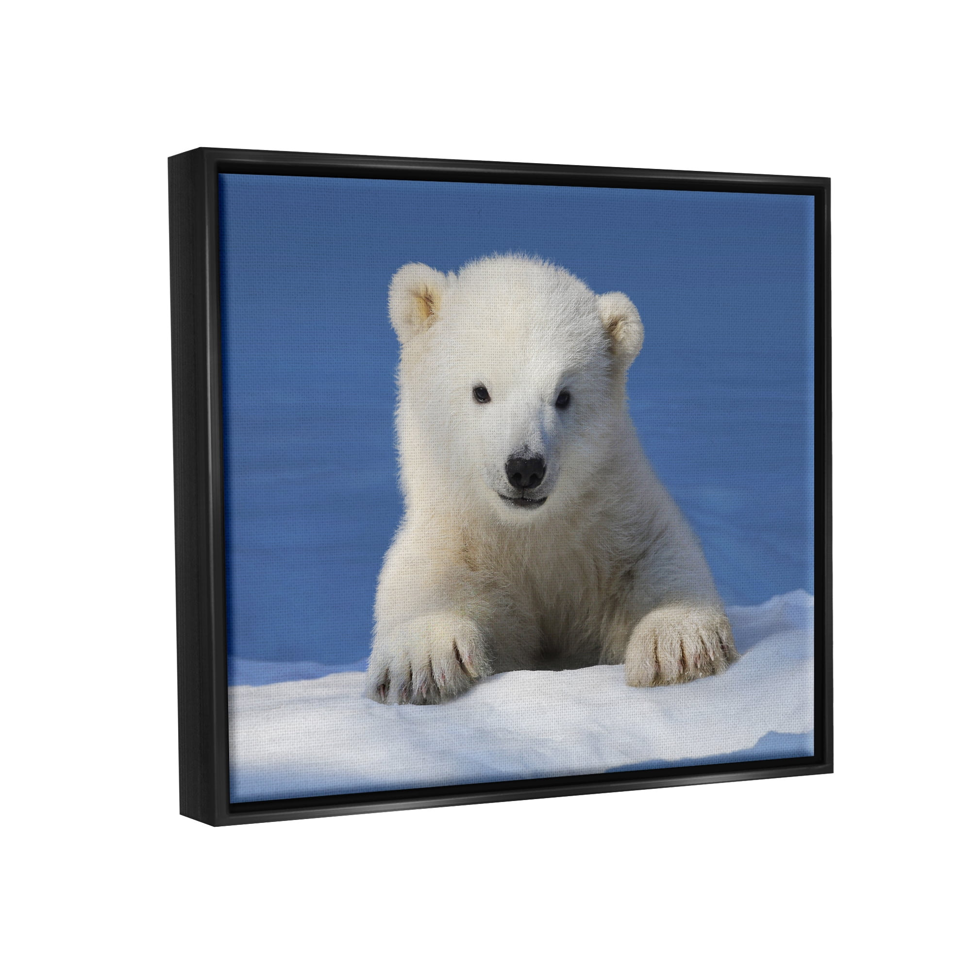 Stupell Industries Baby Polar Bear Peeking Animals & Insects Photography Black Floater Framed Art Print Wall Art, 31 x 25