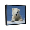 thumbnail image 4 of Stupell Industries Baby Polar Bear Peeking Animals & Insects Photography Black Floater Framed Art Print Wall Art, 31 x 25, 4 of 10