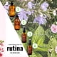 thumbnail image 5 of Aceite Para Cabello y Cuerpo Con Aceite Esencial De Romero Menta 60ml, 5 of 5