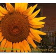 thumbnail image 1 of Sunflower City, 1 of 1