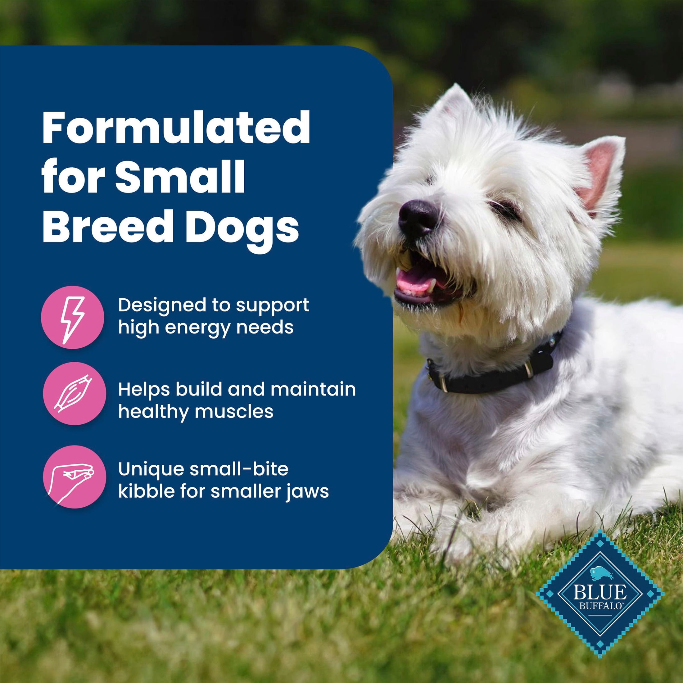Blue Buffalo Life Protection Formula Adult Small Breed Dry Dog Food, Chicken, 15lb Bag