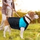 thumbnail image 3 of Chaqueta impermeable de invierno para mascotas, chaleco acolchado cálido para mascotas con correa de doble anillo en D para clima frío, ropa deportiva con cremallera para mascotas pequeñas, medianas, 3 of 8