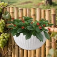 thumbnail image 4 of Yahome Outdoor Imitation Rattan Wall Planter 1 Pcs Semicircle Plastic Hanging Flower Pot Wall-Mounted Plant Baskets Planter Container with Drainage,for Garden Balcony Fence Window (White), 4 of 7