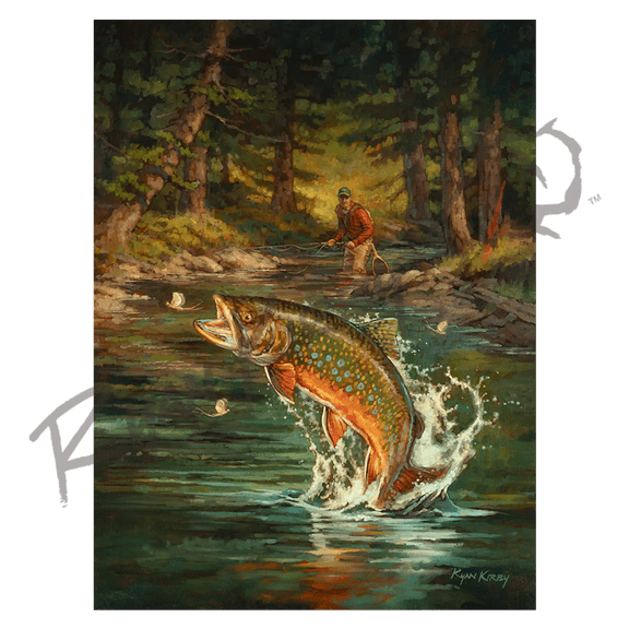 "High Country Hatch" Jumping Brook Trout Canvas Art Print