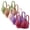 Khaki, variant on Women's 5-Pack Non-Wired Thin Molded Cup Bras, Adjustable Strap V-Neck Everyday Underwear, Comfortable Solid Color Lingerie Set
