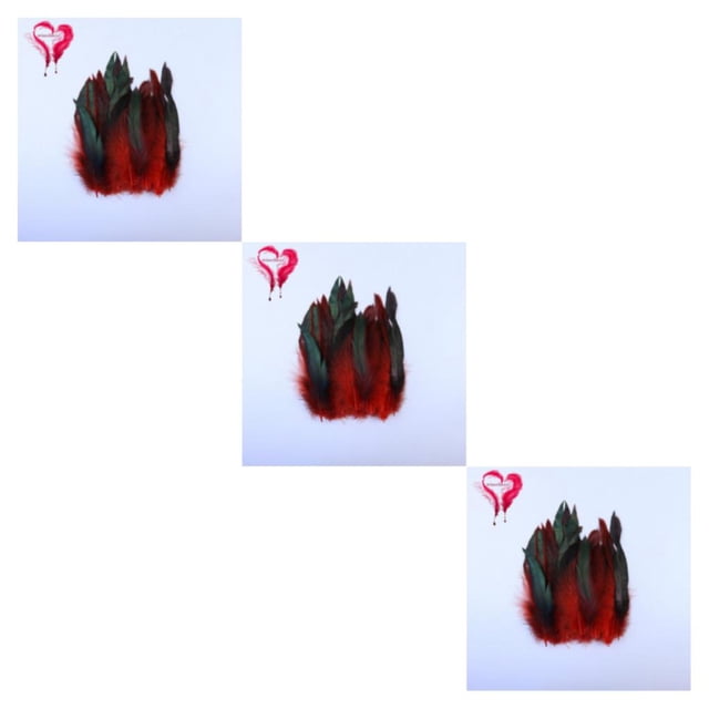 Thinsony 50x Eco-friendly Rooster Feathers For Exquisite Clothing Red Delicate Dyed 3Set