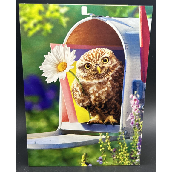 Just Because Owl Greeting Card w/Envelope