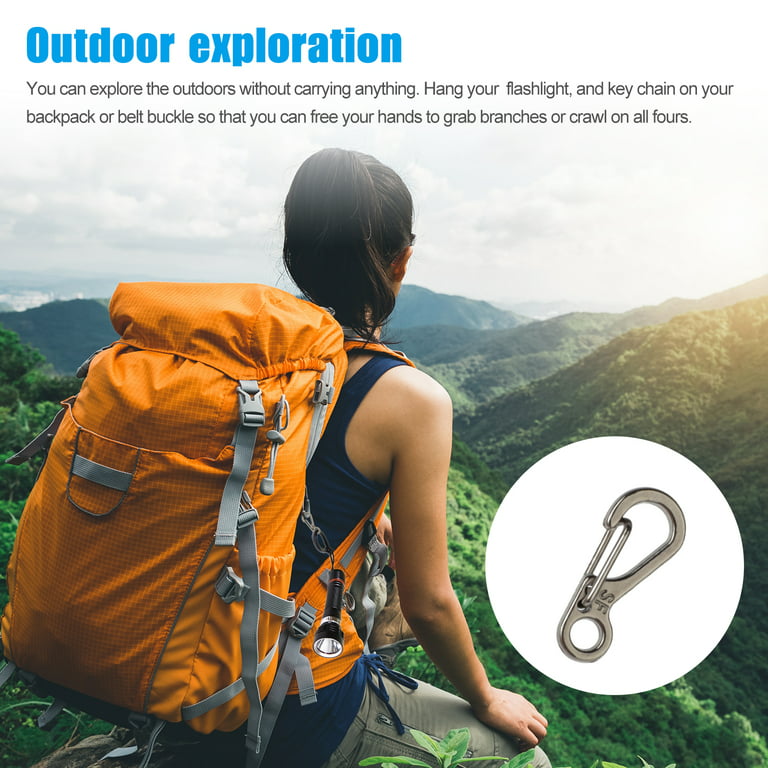 Mini SF Alloy Carabiner Clip, EFFIET Tiny Spring Snap Hook Carabiners for  Backpack Bottle Using Keychains Accessories