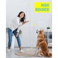 thumbnail image 3 of PrimePets Squeaky Tennis Balls for Dogs ( Yellow+ + Orange+ .Squeaky High Bounce), 3 of 6