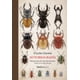 thumbnail image 1 of AUTOBIOGRAFIA NORDICA LIBROS  CHARLES DARWIN, 1 of 2
