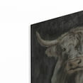 thumbnail image 2 of Luxe Metal Art 'Highland Cow On Black'  by Silvia Vassileva Metal Wall Art, 12" x 12", 2 of 9