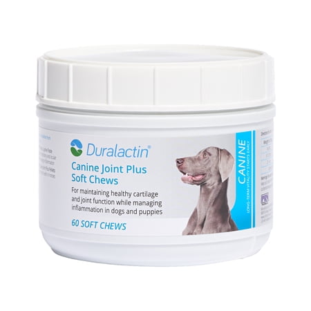 PRN Pharmacal Duralactin Canine Joint Plus - Joint Health Supplement for Dogs & Puppies to Support Healthy Cartilage Levels & Joint Function while Helping Manage Soreness - 60 Soft Chews