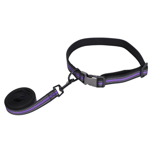 Conjunto de collar para mascotas Correa de perro ajustable reflectante Seguridad cómoda Suministros para mascotas Conjunto de collar y correa de perro reflectante Morado ANGGREK Otros