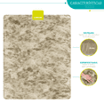 thumbnail image 2 of Alfombra Tapete Suave LINIUM 200x160 cm Beige, 2 of 9