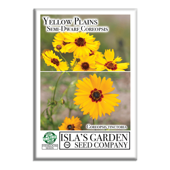 Yellow Coreopsis Plains Semi-Dwarf Flower Seeds,1500 Heirloom Flower Seeds Per Packet, Non GMO Seeds