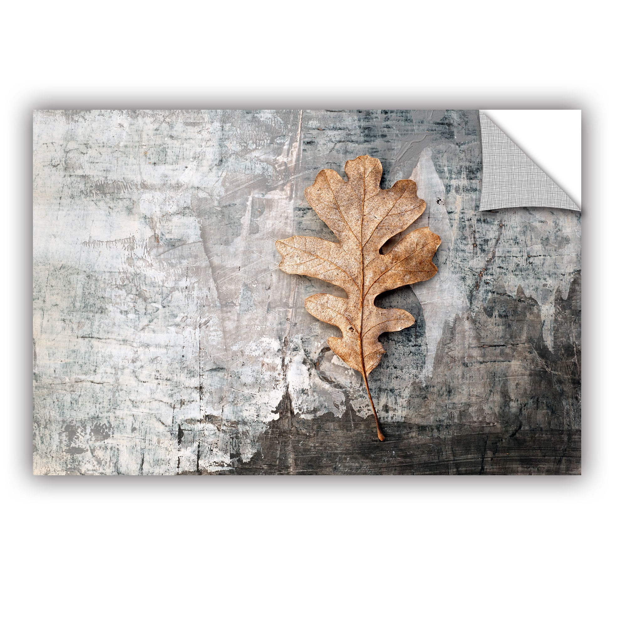 ArtWall Elena Ray "Still Life Leaf" Art Appeals Removable Wall Art
