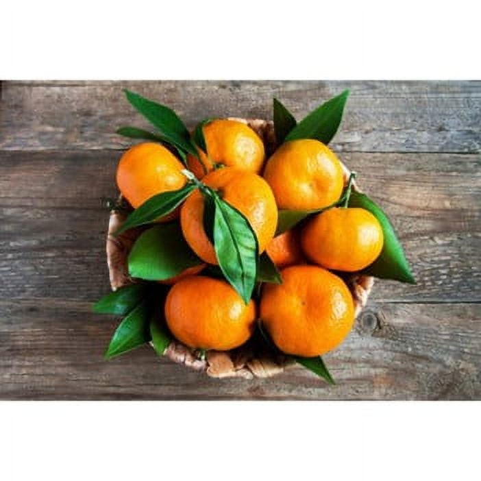 FreshPoint  Why Clementines are Mandarins, but not all Mandarins